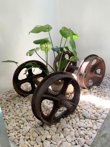 Casa Chinchimbacal, Centro M�rida