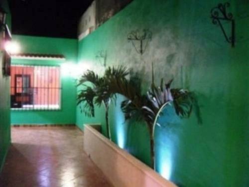 Hostal Guest House La Casa Del Quetzal