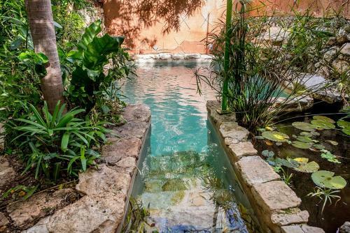 Apartamento Majikal B&B - Coraz�n