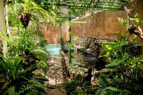 Apartamento Majikal B&B - Coraz�n