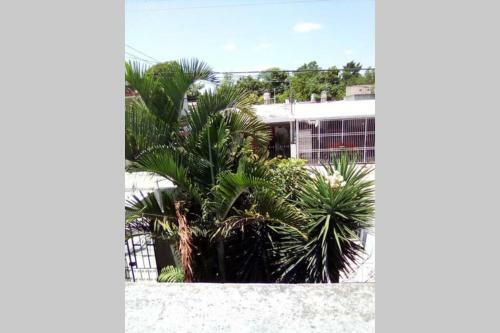 Apartamento Bienvenidos A La Blanca Merida