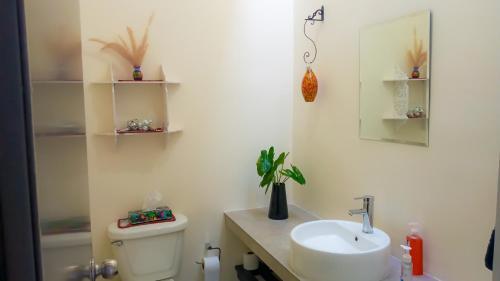 Apartamento Loft Jorge In Private Residence