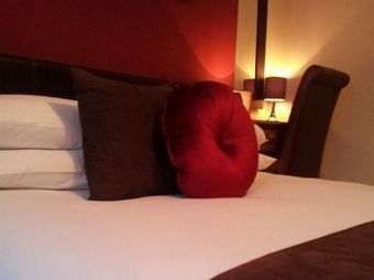 Hostal Phoenix Guest House
