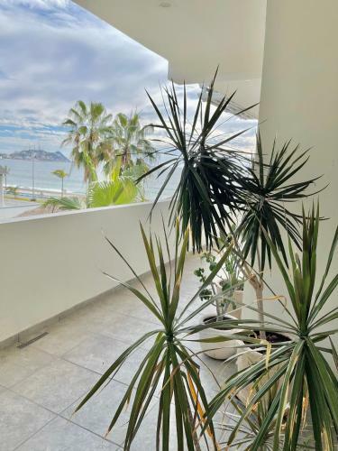 Apartamento Hermoso Departamento Sobre El Malec�n