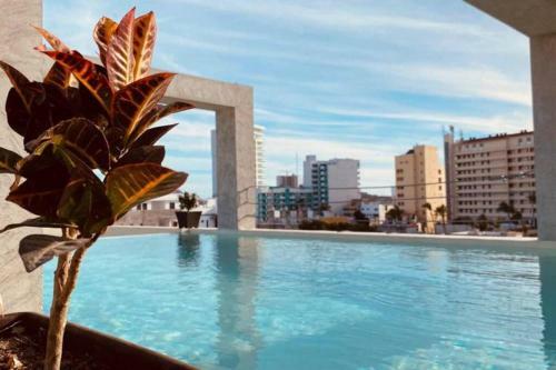Apartamento Soho 1 Departamento A UNA Cuadra de La Playa