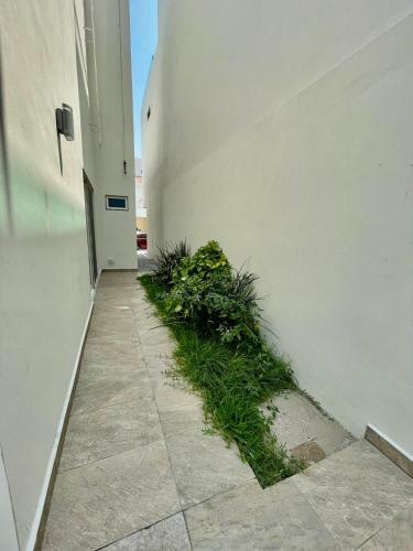 Casa Diamante A Pie de Playa Mazatlan( Brujas Residence)