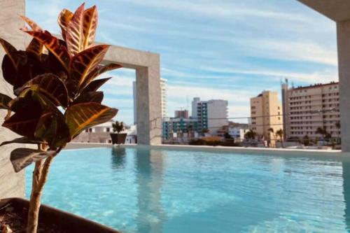 Apartamento Soho 15 A UNA Cuadra Del Malec�n Y Playa