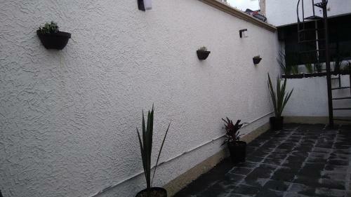Apartamento Casa Crema