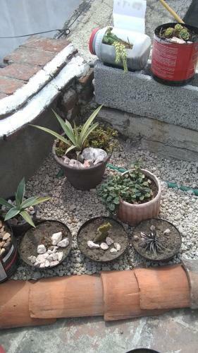 Apartamento Rio Celeste