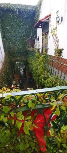 Hotel Don Pedro