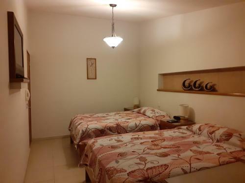 Casa Misha - Jardines