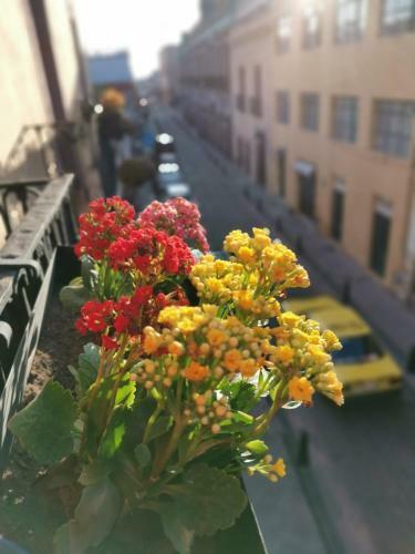 Apartamento Lele Room Downtown Quer�taro