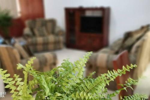 Apartamento Casa Gardenia Cerca Del Centro