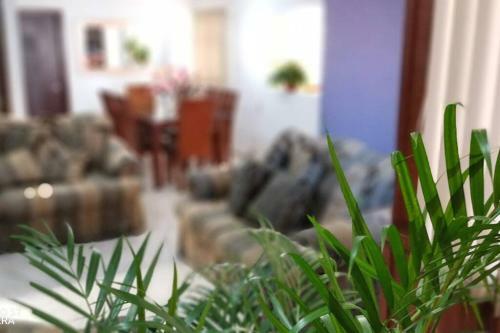 Apartamento Casa Gardenia Cerca Del Centro