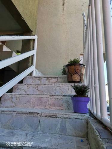 Apartamento Casa Gardenia Cerca Del Centro
