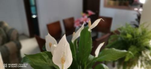 Apartamento Casa Gardenia Cerca Del Centro