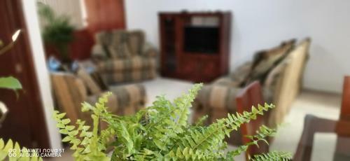 Apartamento Casa Gardenia Cerca Del Centro
