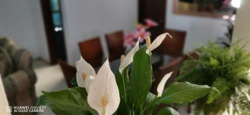 Apartamento Casa Gardenia Cerca Del Centro