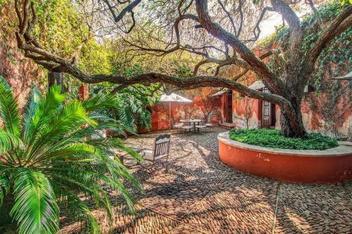 Hotel Casa De Quino