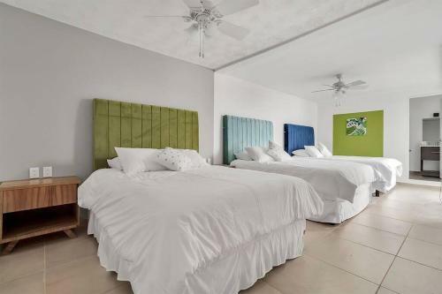 +ms +casa Lim�n +16 Pax +wifi 150mb
