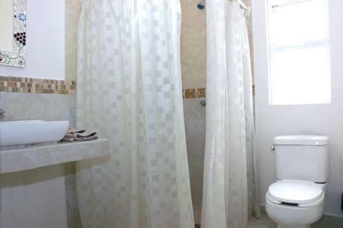 Apartamento C�modo Departamento En Zona Tur�stica de Quer�taro