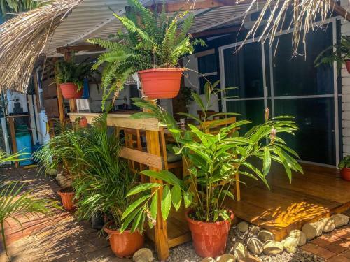 Hotel Shaka House