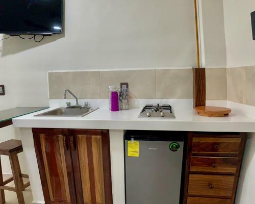Apartamento Lidxi Rosae