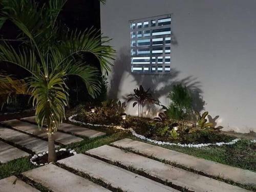 Mg House Puerto Morelos Qroo