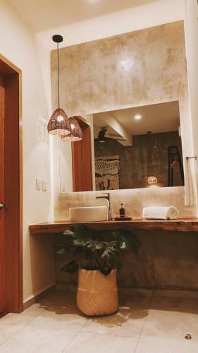 Hotel Casa Bicachi - Adults Only
