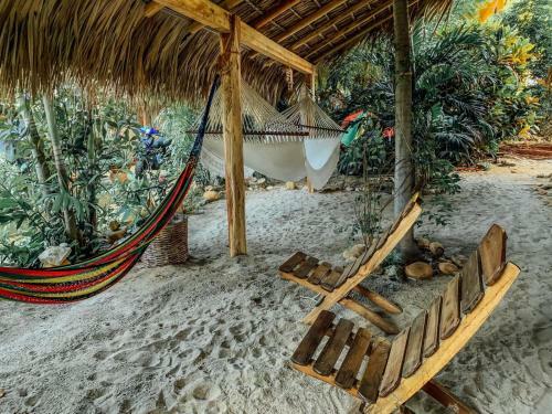 Hostal Beach Front Guesthouse