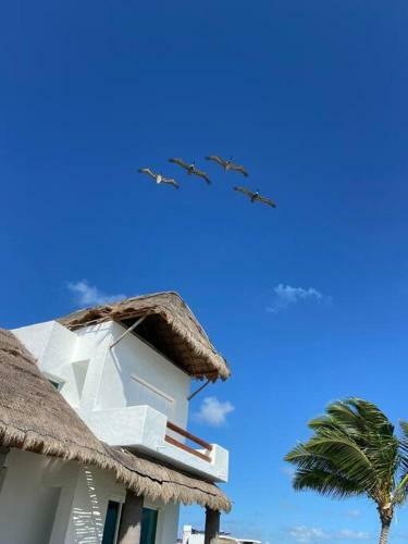 Villa Casa Punta Brava On The Beach