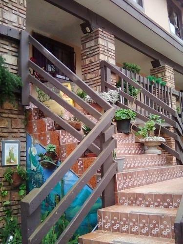 Hotel Rooms Up To 6 Guess Downtown Rosarito