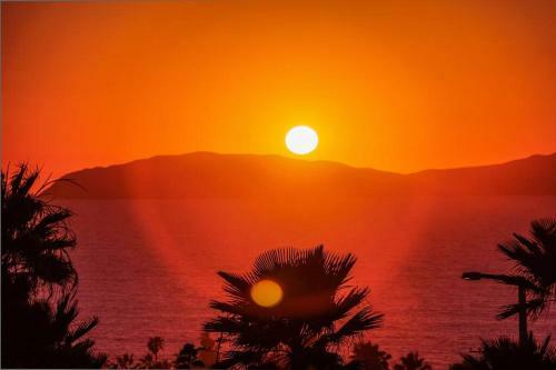 Apartamento #1 Oceanfront Condo W/ Jacuzzi, Pool & Bbq