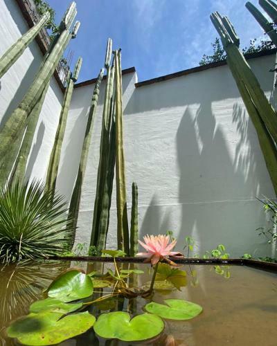 Casa Mayo B&B