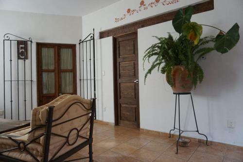 Hotel Alojamiento Jalatlaco