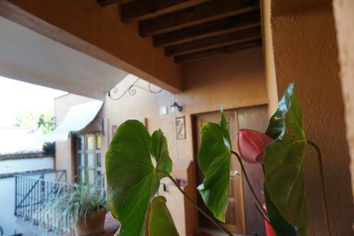 Hotel Alojamiento Jalatlaco