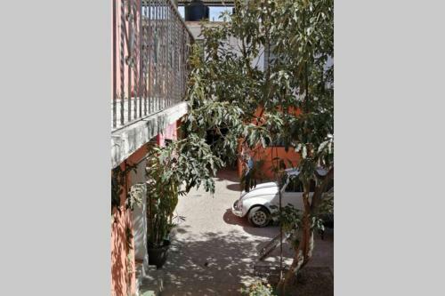 Apartamento Departamento C�ntrico Amplio