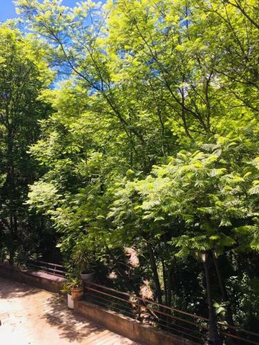 Hostal Eco-hotel Los Petates