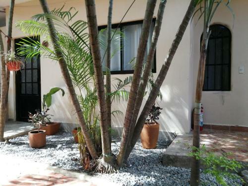 Posada Jard�n San Pancho