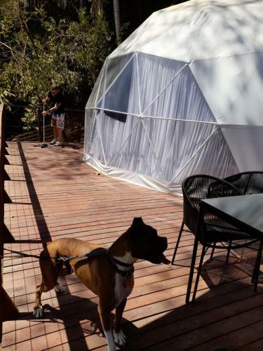 Cupi Glamping