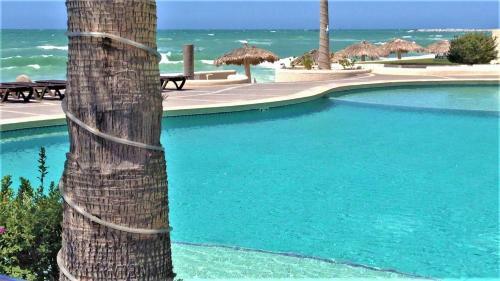 Apartamento Ground Floor Sonoran Sun 101-e - 3br