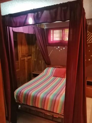 Hostal Lipi House Hostel