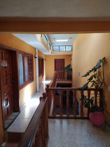 Hostal Lipi House Hostel