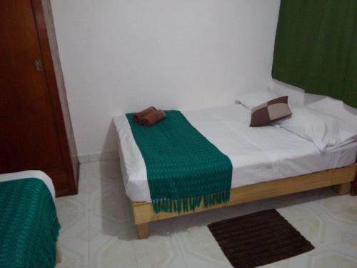 Casa Natura
