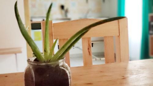 Apartamento Kukul'ik Tapancos