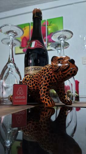 Casa El Jaguar Coleto