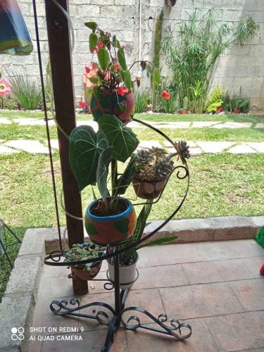 Caba�as Sna