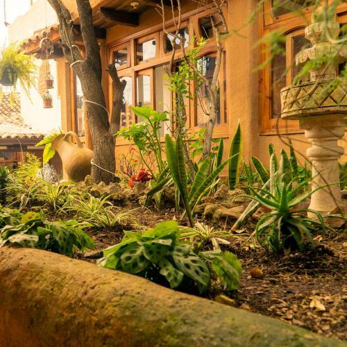 Hostal Hotel Paz Creativa