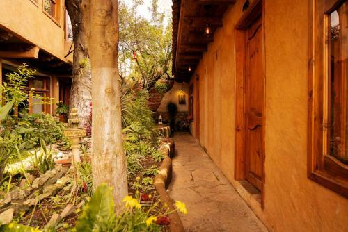 Hostal Hotel Paz Creativa