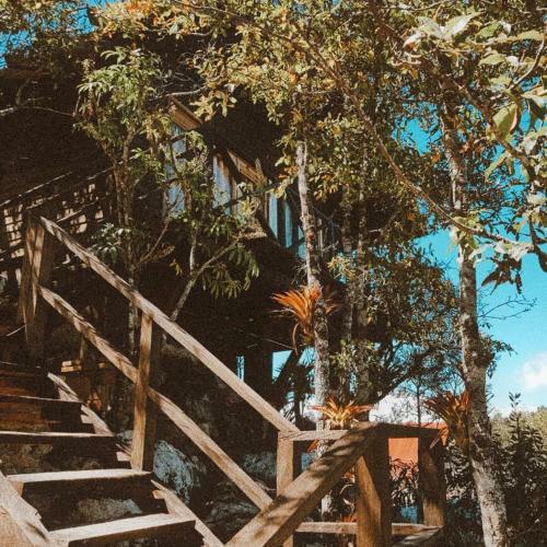 Caba�a Selva Chiapas